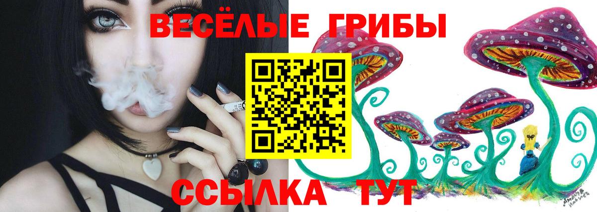 Керчь  Галлюциногенные грибы Psilocybine cubensis  купить наркоту  Вход с VPN 